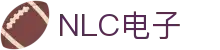 NLC电子数码集团